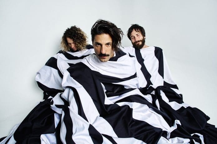 Foto Sexy Zebras
